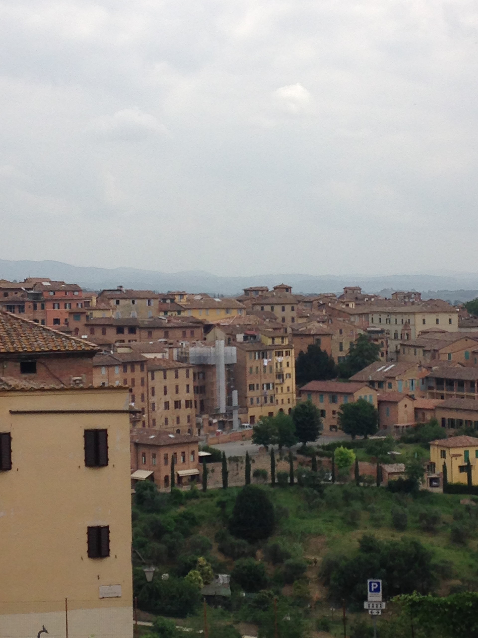 Skyline of Siena from the Saint Agatha's Cantine.