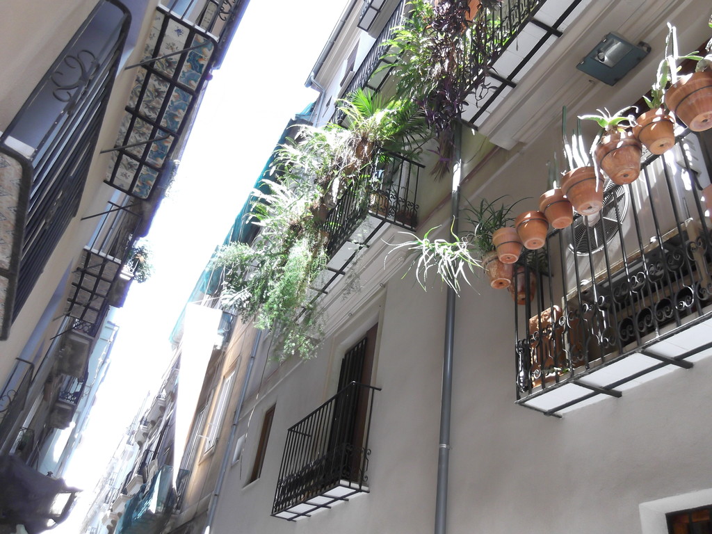 Some buldings in The Old city