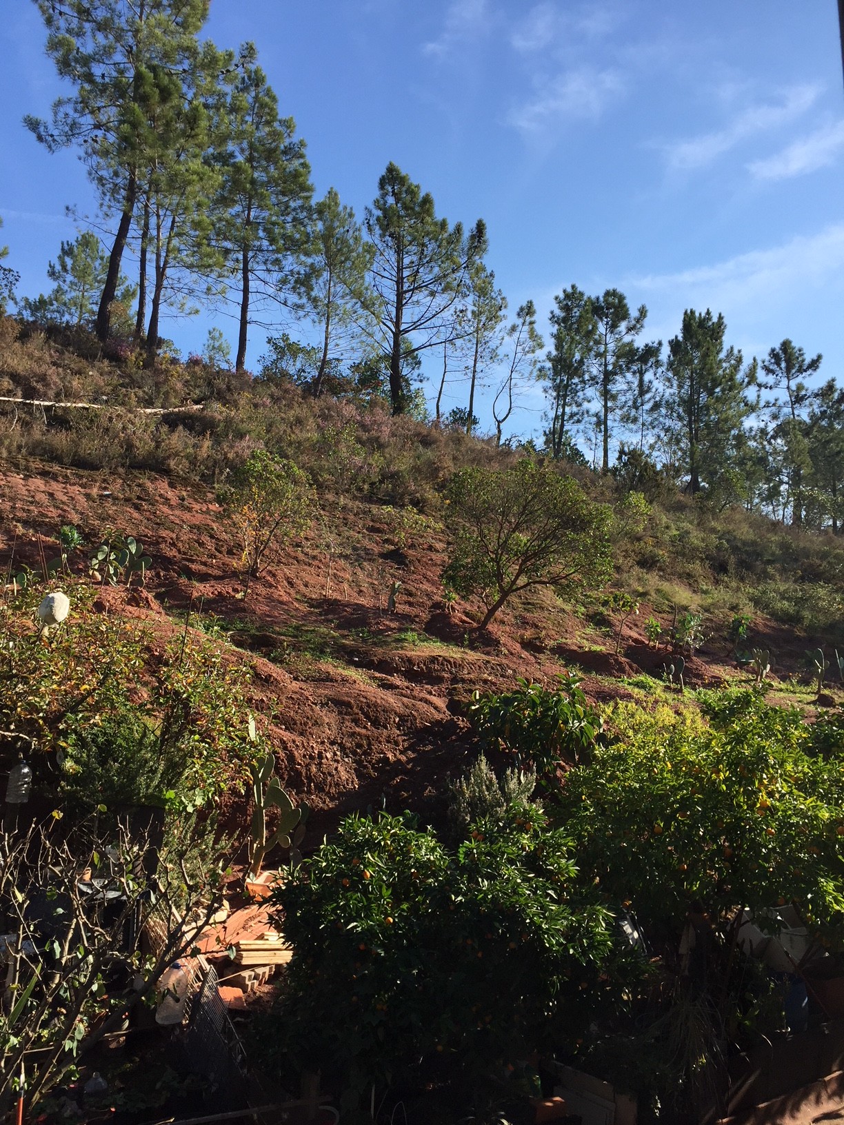 Spacious and complete single bedroom - Coimbra