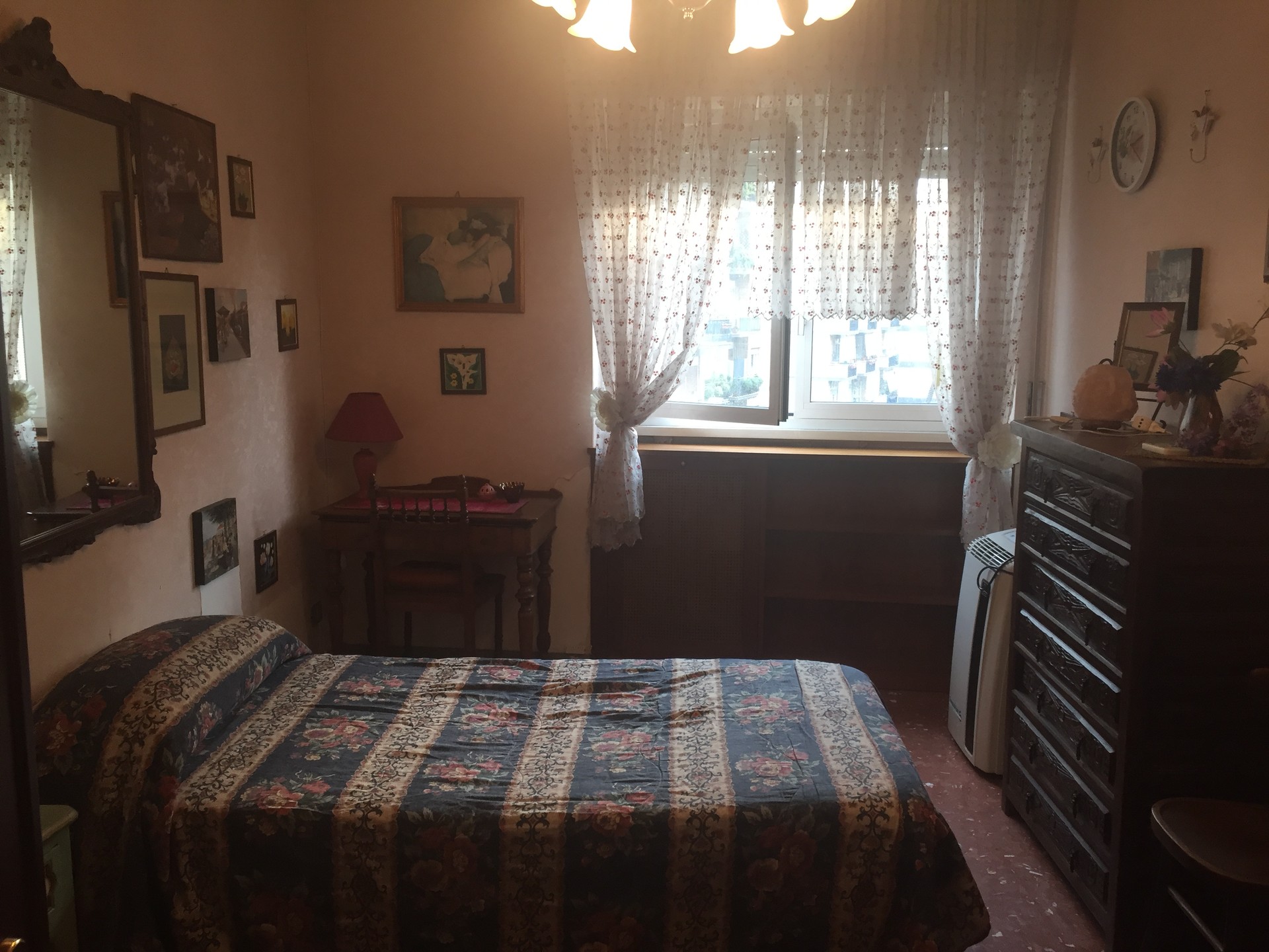 luminosa e comoda stanza singola arredata Stanze in affitto Roma