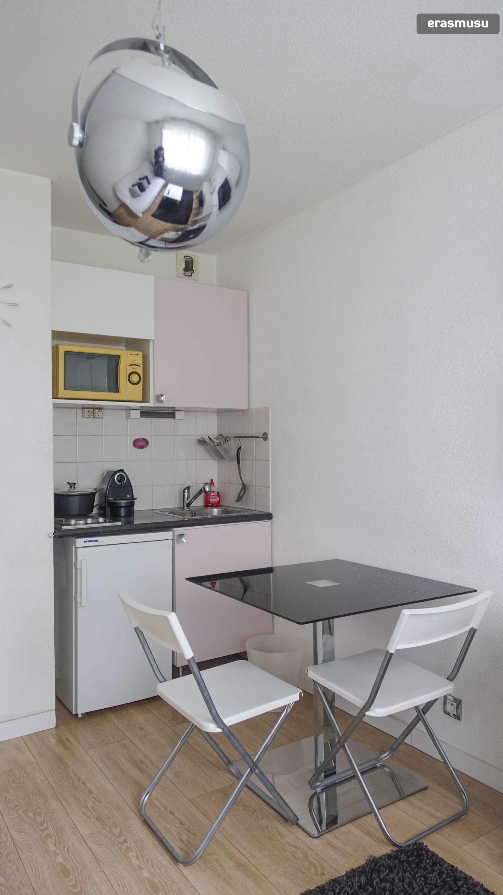 Studio apartment with gym for rent in Paris, close to the business