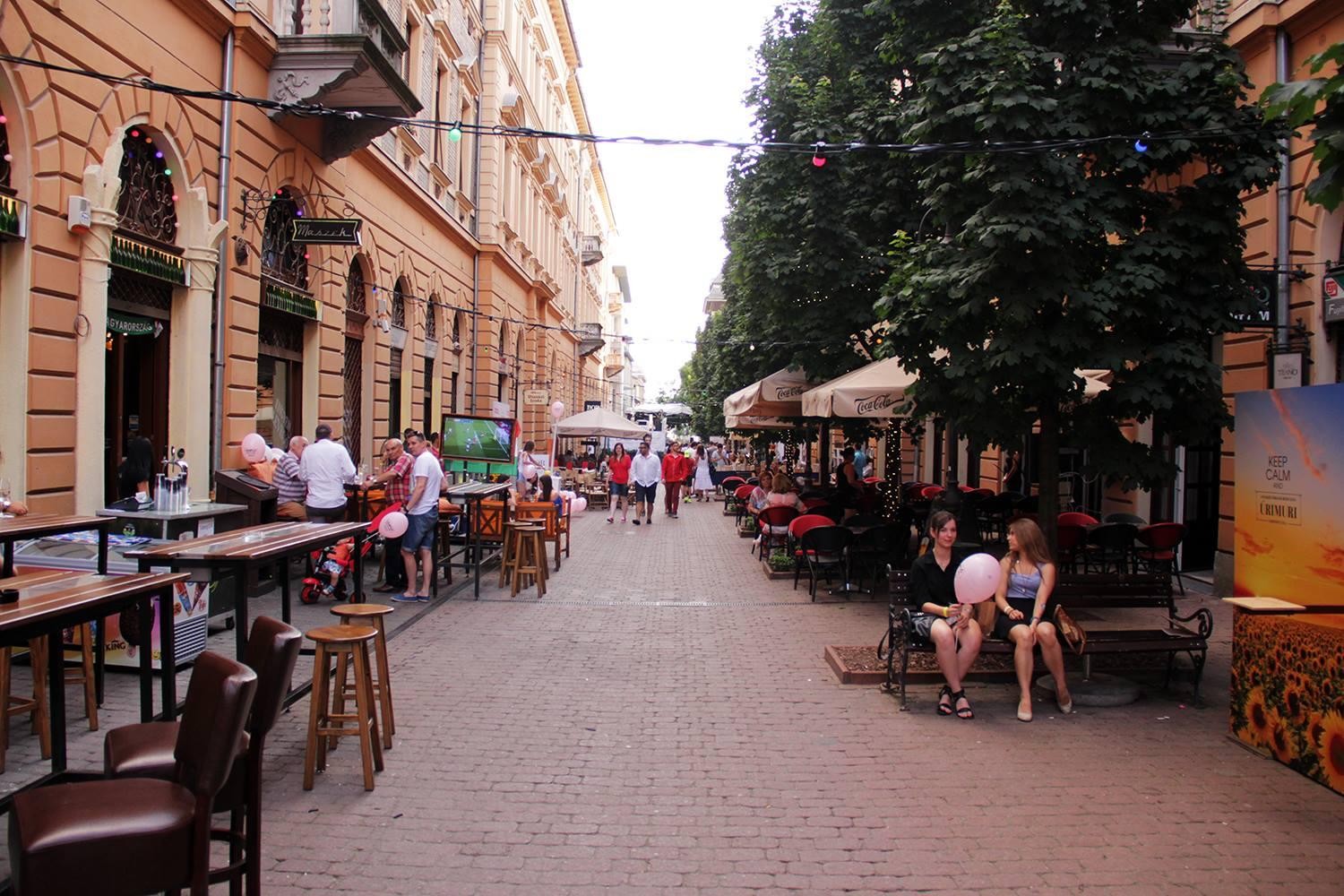 Studio apartment in the Williamsburg of Debrecen Rent studios Debrecen