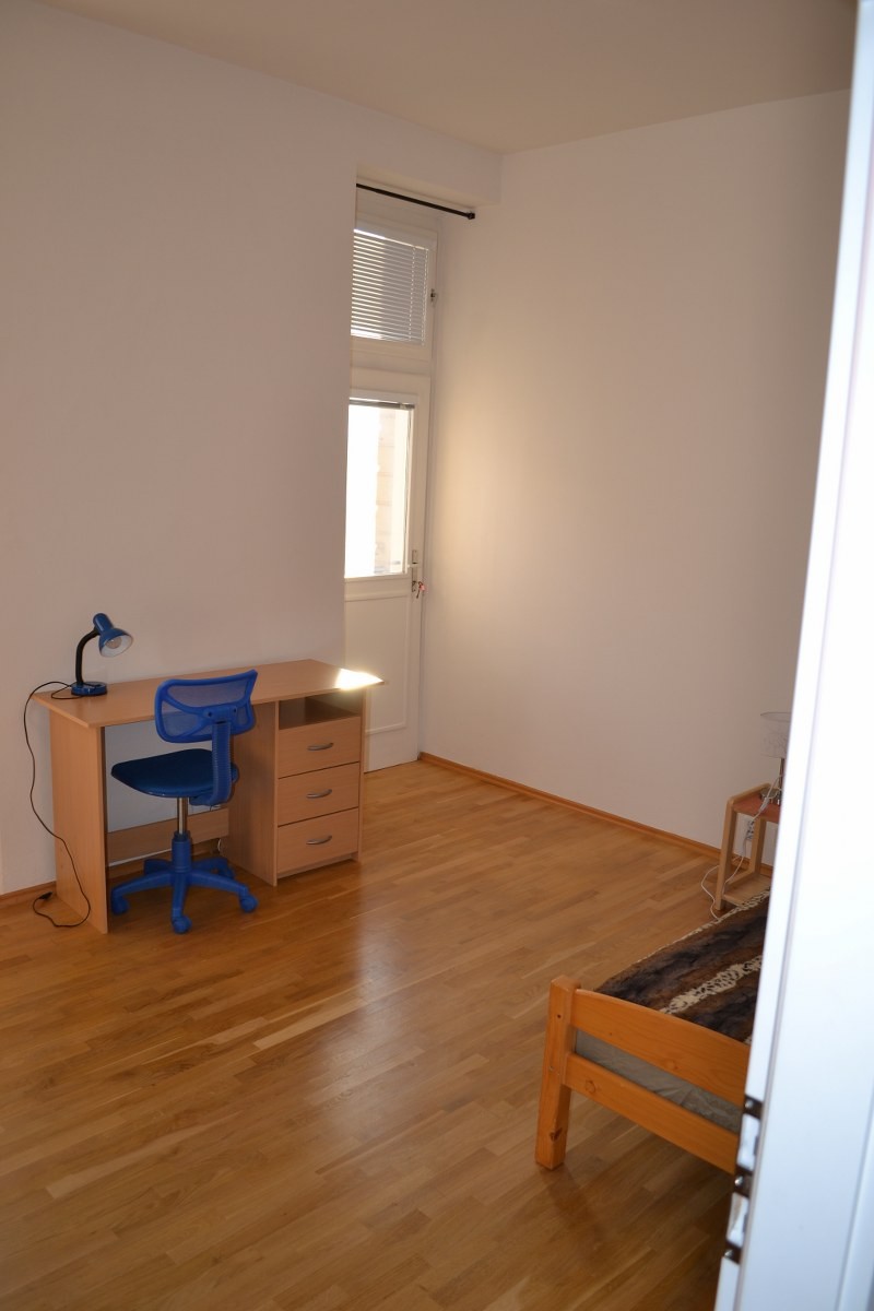 sunny-large-room-in-120-square-meters-apartment-at-prague-2-vinohrady-room-for-rent-prague