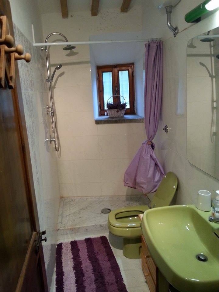 Sunny and large room with private bathroom and parking Room for rent Florence Sunny and large room with private bathroom and parking Room for rent Florence