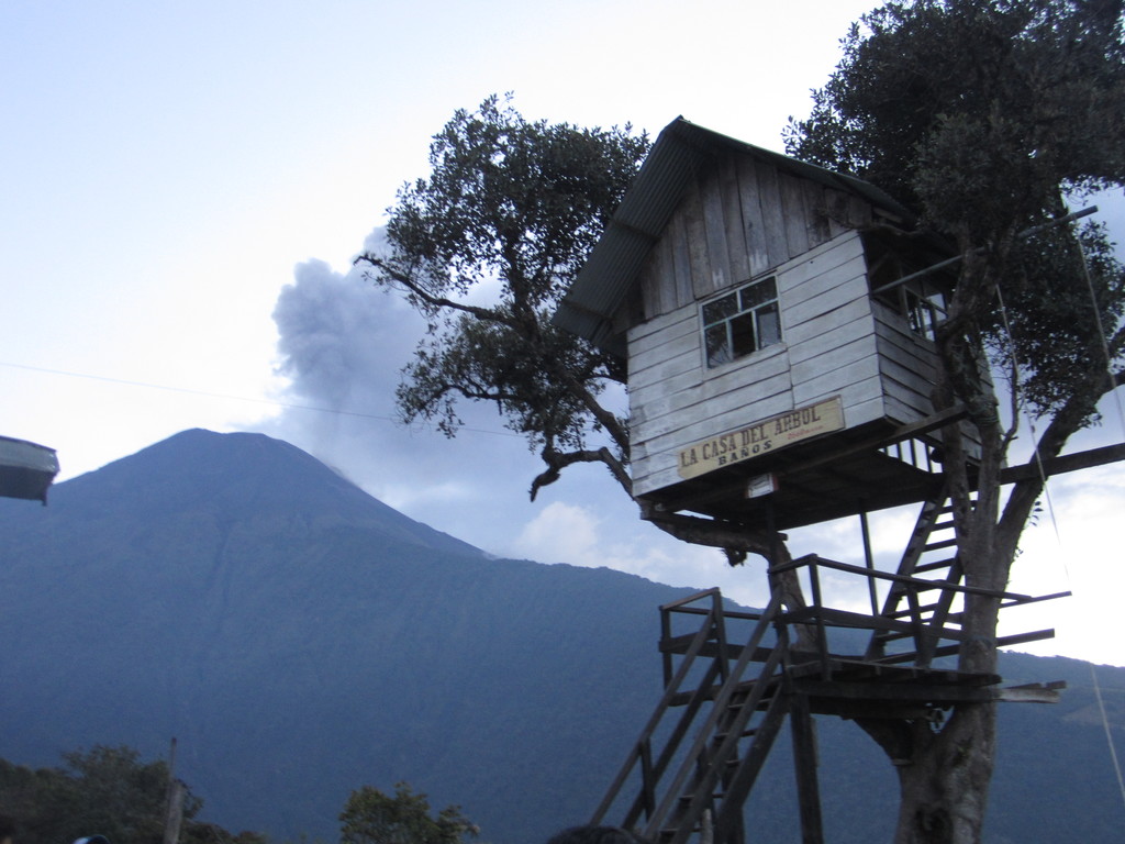 Casa Del Arbol What To Do In Ambato