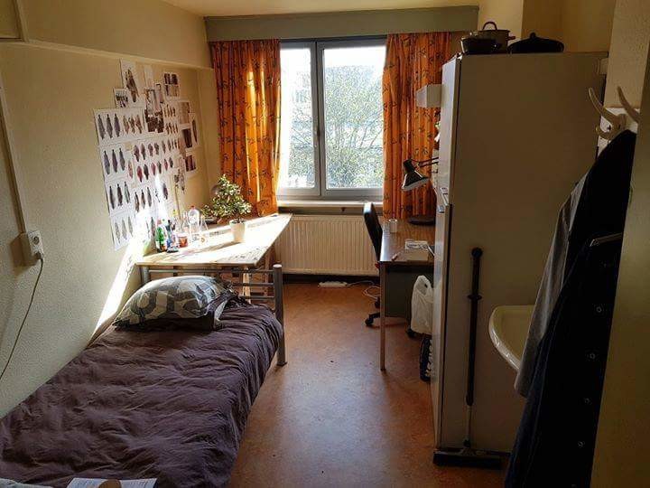 Temporary room to rent Room for rent Ghent