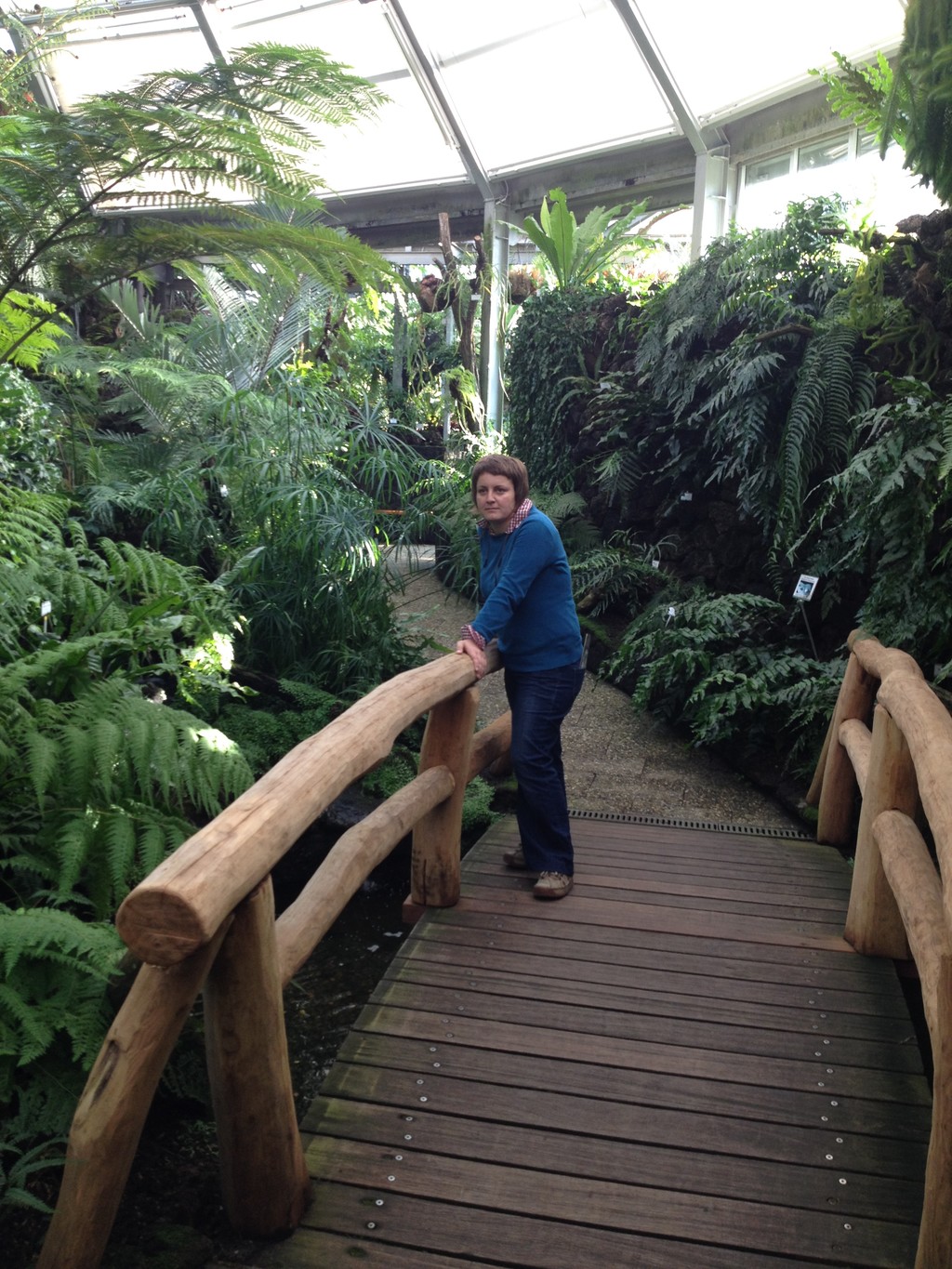 The botanical garden in Berlin