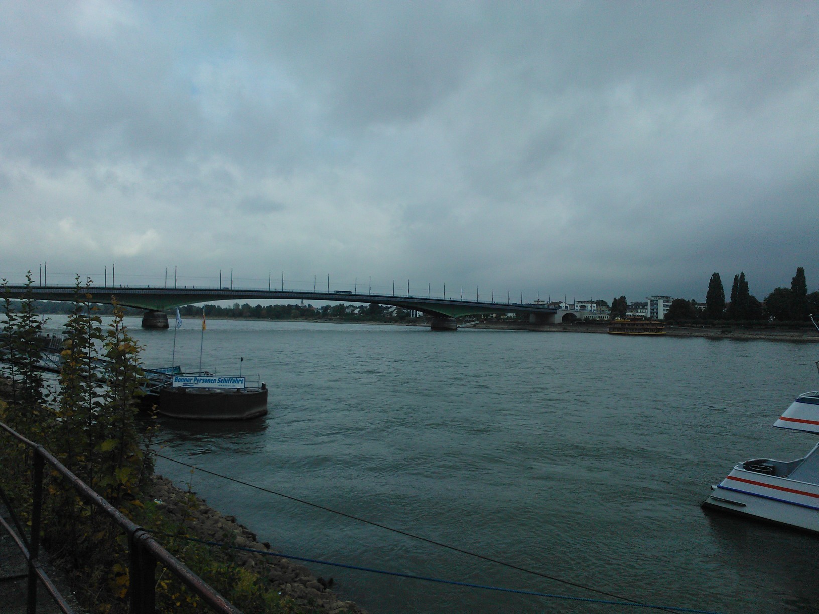 The Rhine 6