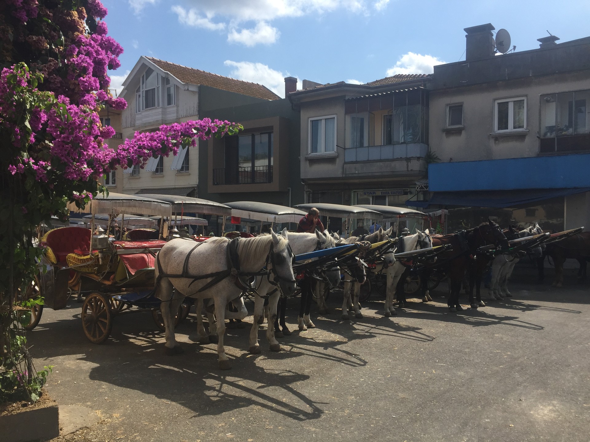 touring-turkey-turkey-part-7-biking-buyukada-e7