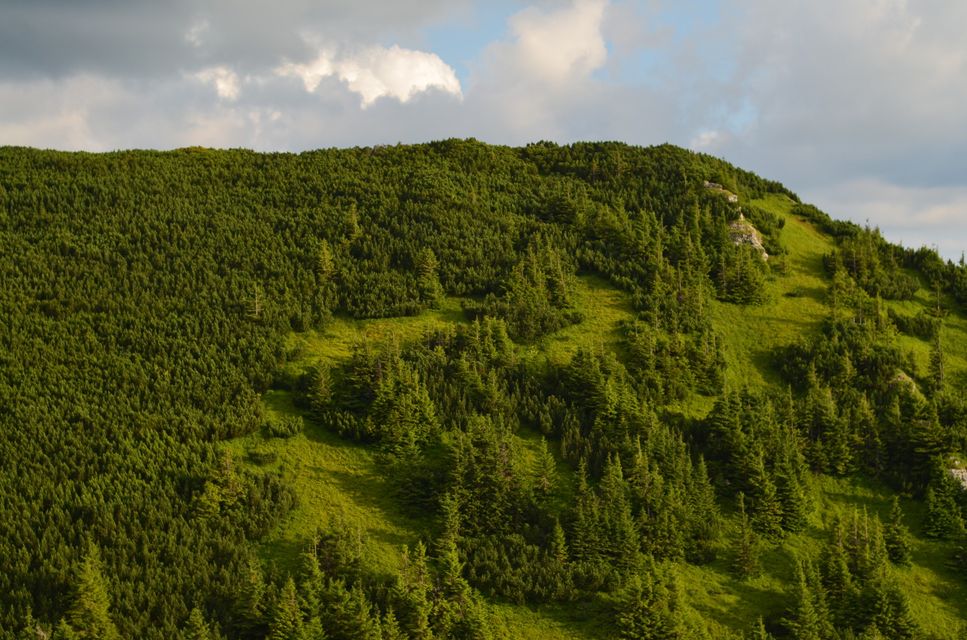 trekking-ceahlau-massif-709a2d8614f2b9e0