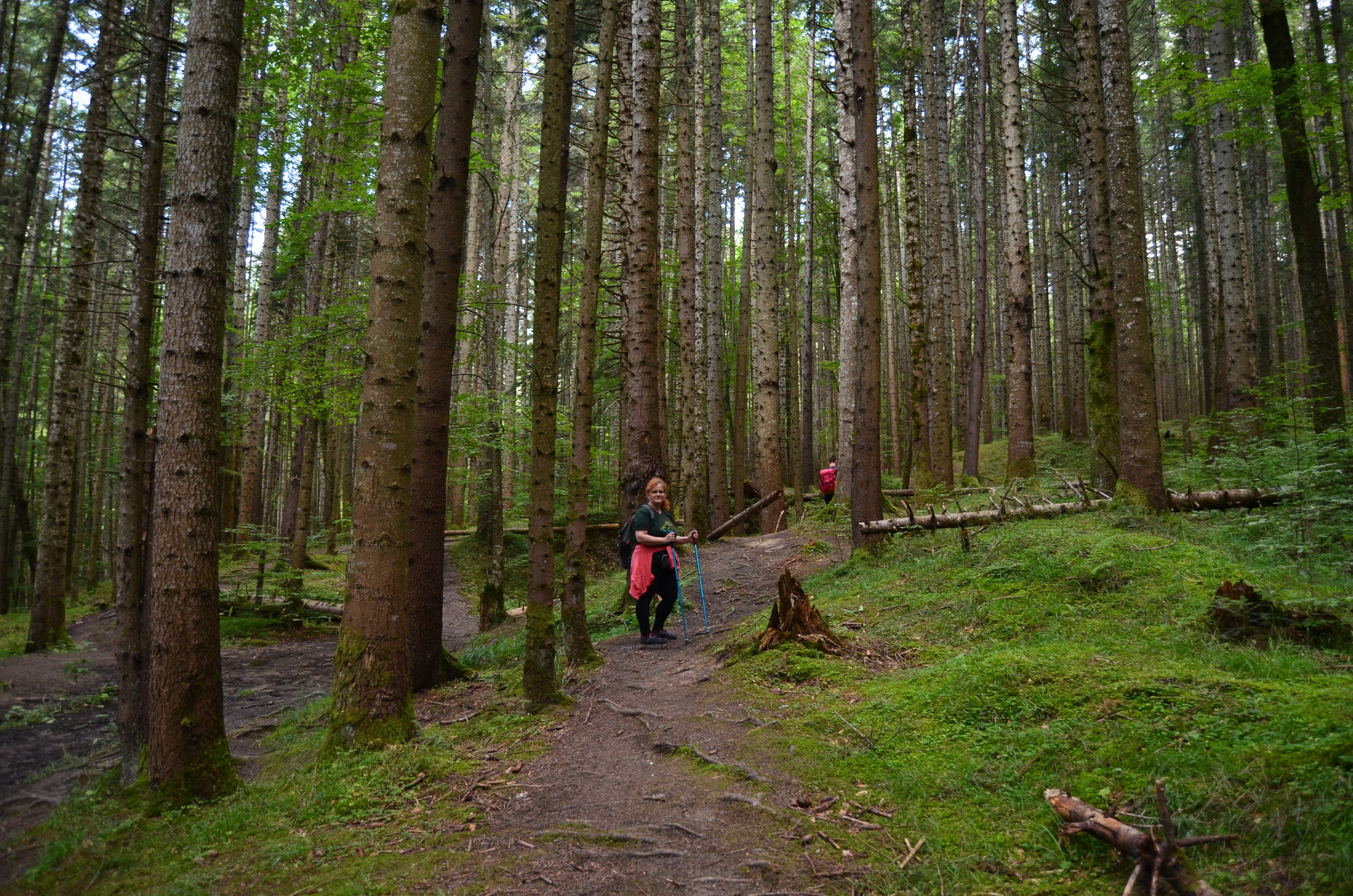 trekking-ceahlau-massif-853f5310c031a606