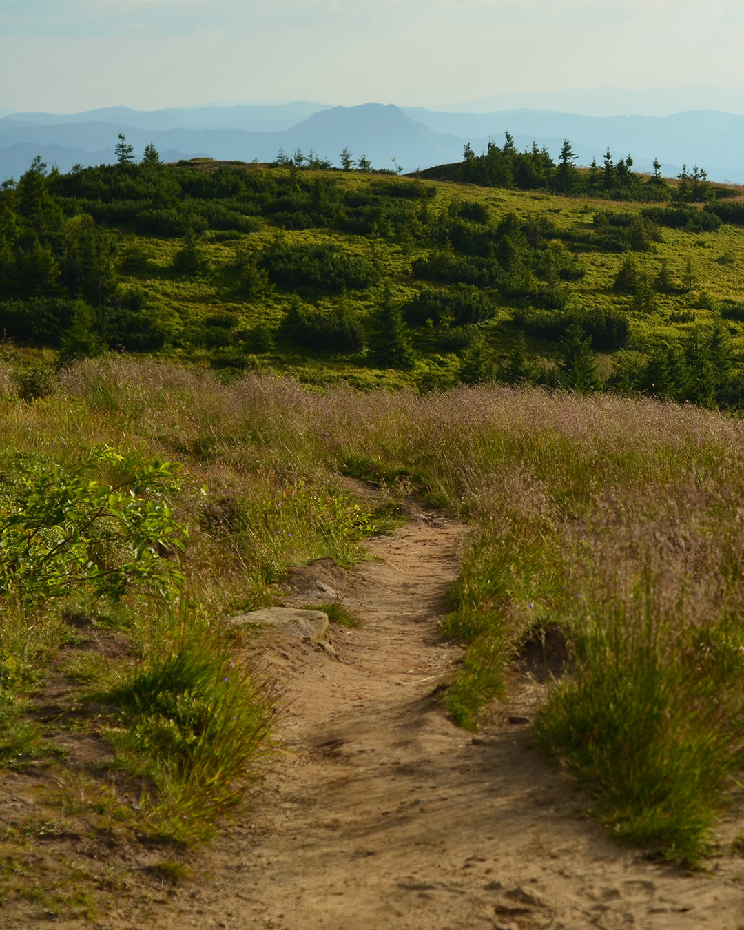 trekking-ceahlau-massif-c6ae1c9150c9b15c