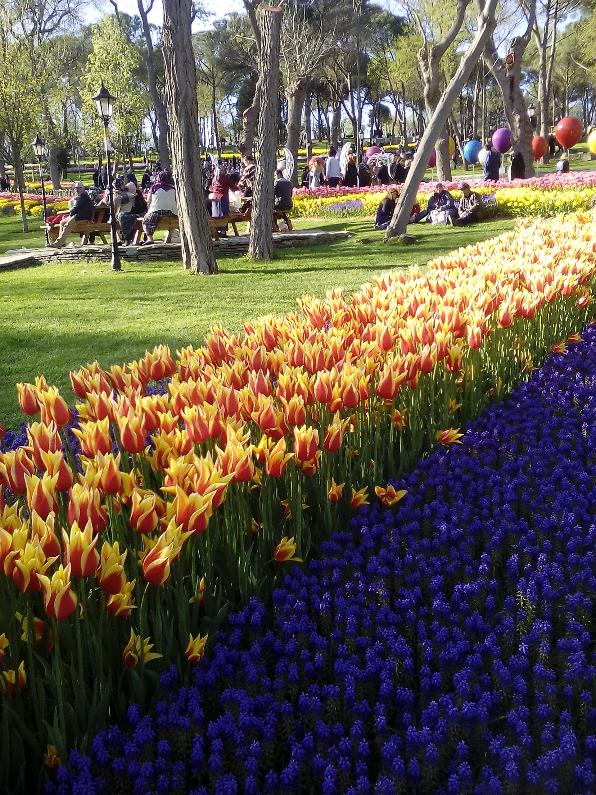 tulip-festival-istanbul-beauty-april-072