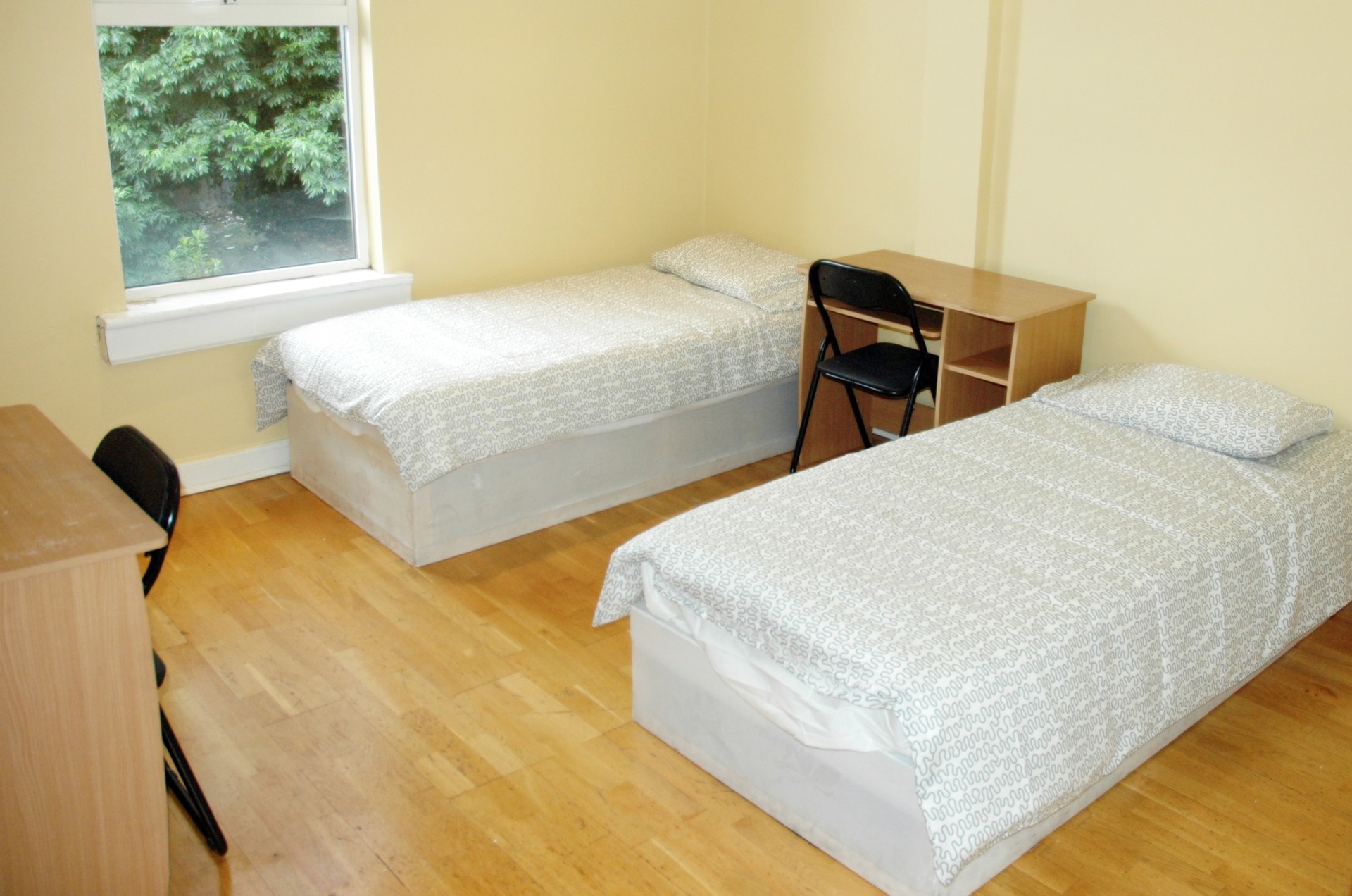 1 Bed available in Ensuite Twin room in central Dublin Room for rent