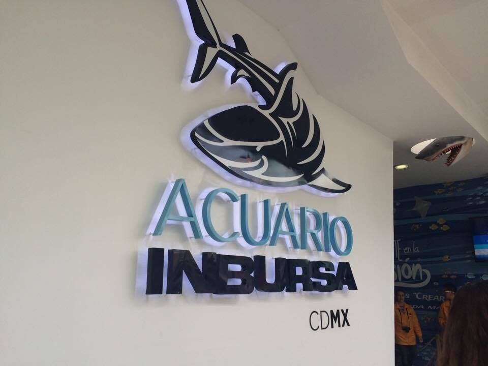 Acuario Inbursa | Qué hacer en México, .