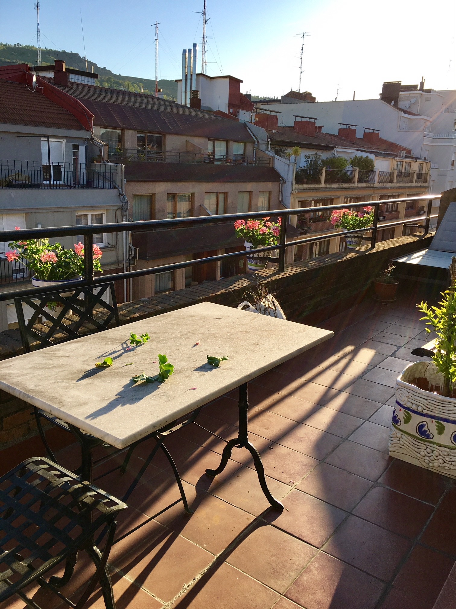 Very nice and cozy furnished apartment with terrace in Bilbao Flat