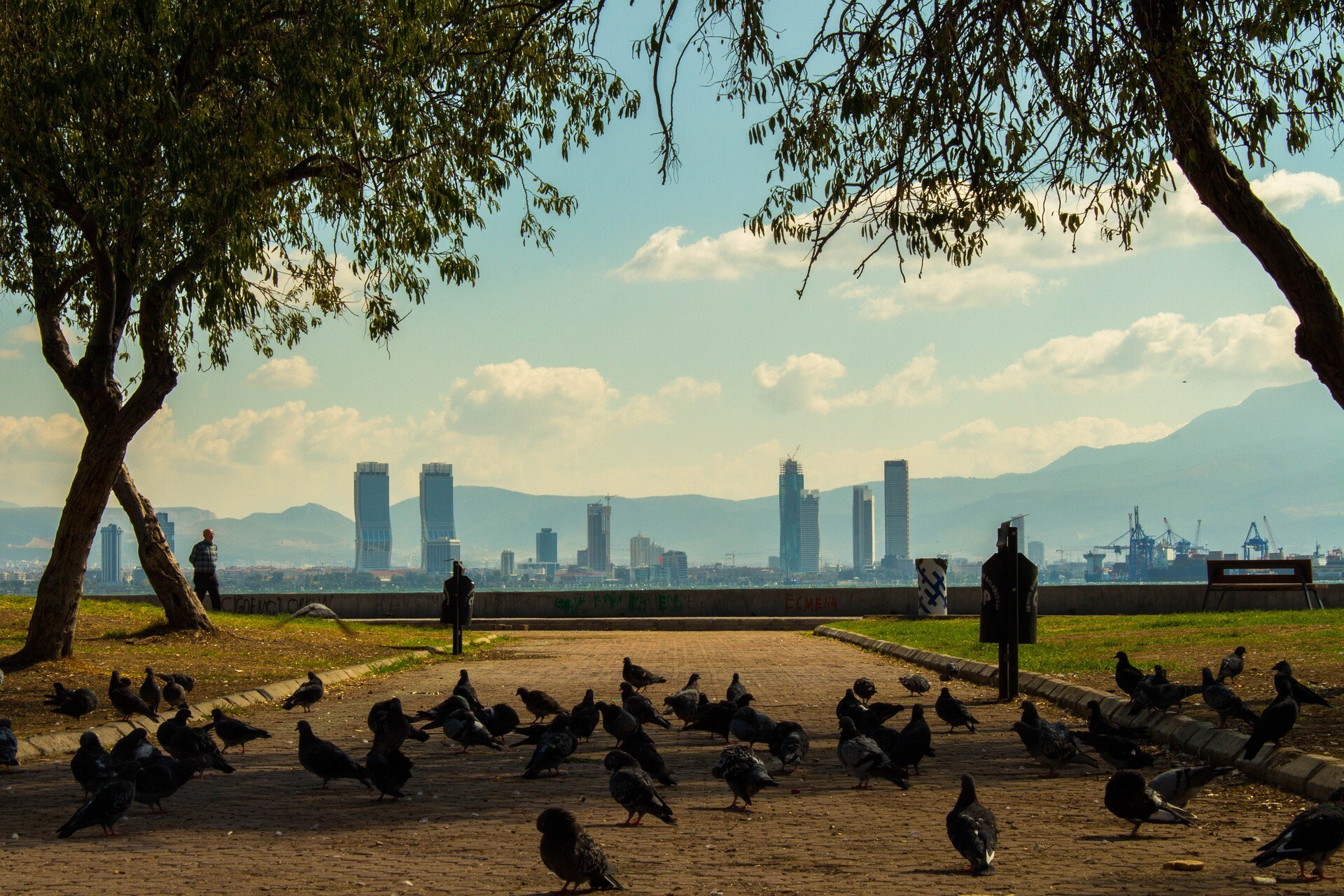 Нидерланды вьетнам. Измир небоскребы. Измир Турция. Izmir City. Urban Bird.