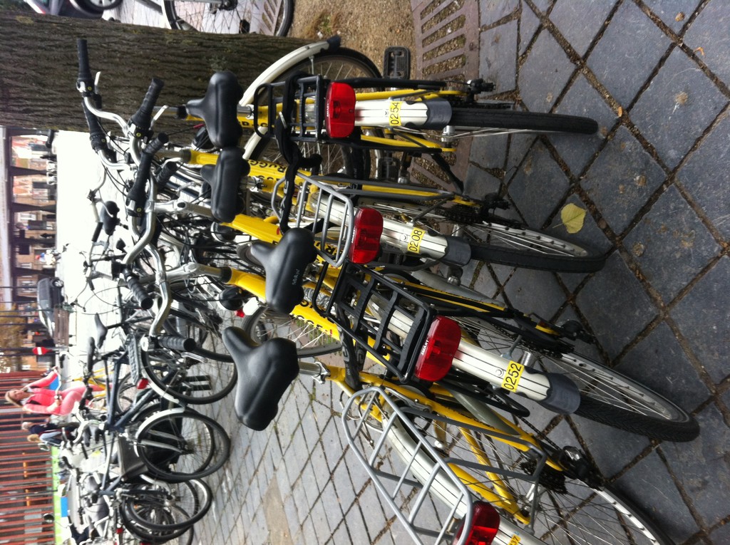 Yellow bikes