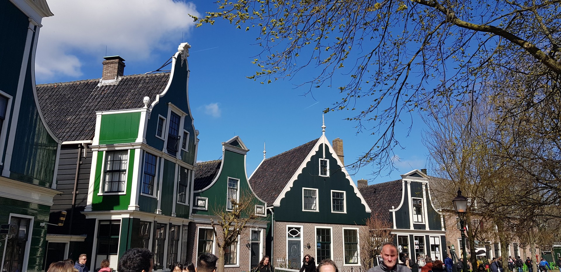 zaandam