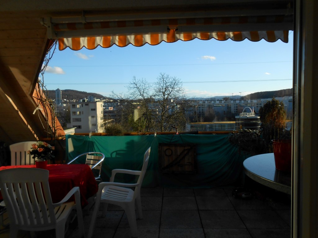 Zurich Seebach Oerlikon Beautiful Bright Spacious Single Room 18 Sqm In Dream Apartment For Rent